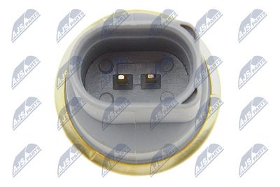 SENZOR TEMPERATURA LICHID DE RACIRE NTY ECTWW000 3