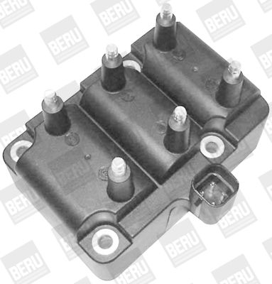 BorgWarner (BERU) Zündspule