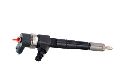 INJECTOR REMANTE 002003001674R 38