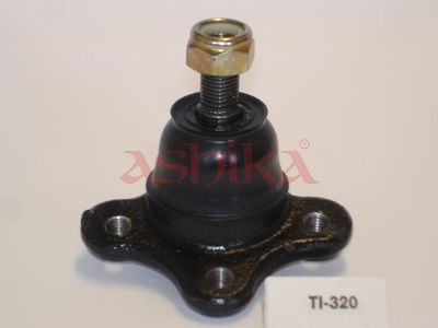 Šarnyras / girgždukas