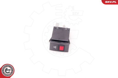 Hazard Warning Light Switch 36SKV705