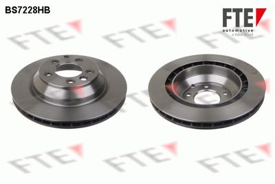 Brzdový kotouč FTE 9081324