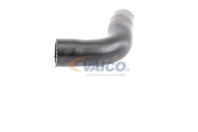 KüHLERSCHLAUCH VAICO V401343 34