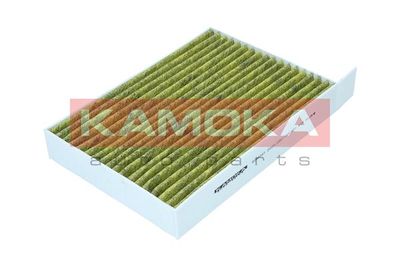 Filter, cabin air 6080161