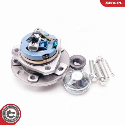 SET RULMENT ROATA ESEN SKV 29SKV008 1