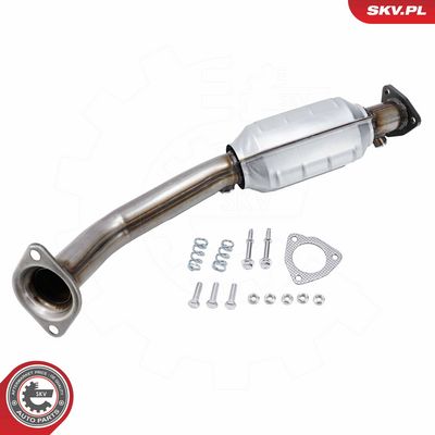 ESEN SKV Катализатор