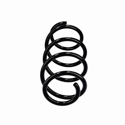 ARC SPIRAL EIBACH R22922 13