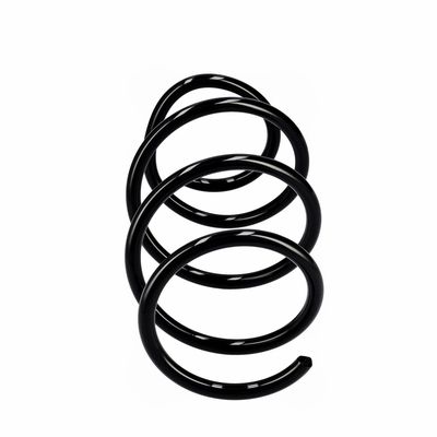 ARC SPIRAL EIBACH R10721 13