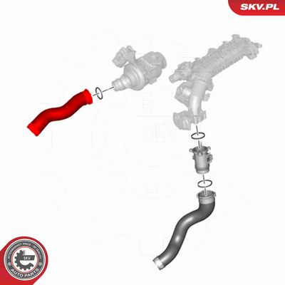 FURTUN EAR SUPRAALIMENTARE ESEN SKV 43SKV424 3