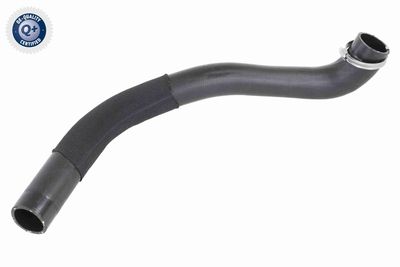 FURTUN EAR SUPRAALIMENTARE