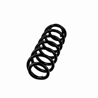 ARC SPIRAL EIBACH R10862 2