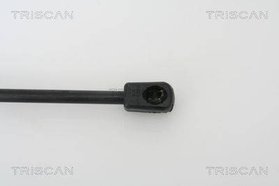 Amortizor portbagaj TRISCAN 8710 21205