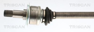 PLANETARA TRISCAN 854023574 1