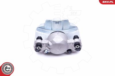 Brake Caliper 46SKV251