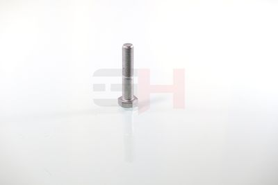 SURUB CAPAT DE AX GH GH392360 38