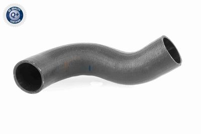 FURTUN EAR SUPRAALIMENTARE ACKOJA A380298 1