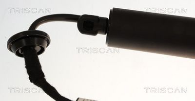 AMORTIZOR PORTBAGAJ TRISCAN 871027319 1