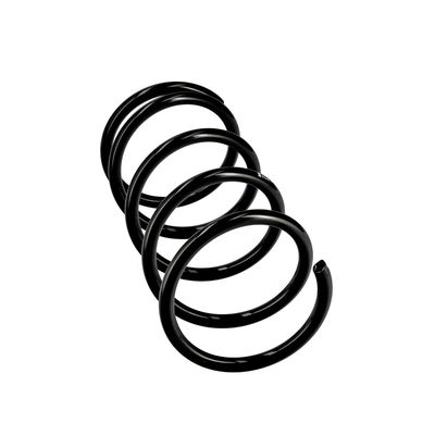 ARC SPIRAL EIBACH R10445 24