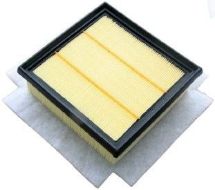 Air Filter A140865