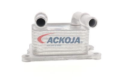 RADIATOR ULEI ULEI MOTOR ACKOJA A38600004 59