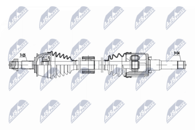 PLANETARA NTY NPWPL151