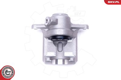 Brake Caliper 42SKV444