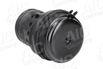 LAGERUNG MOTOR AIC 50208 2