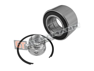 GT-BERGMANN Automotive Rato guolio komplektas