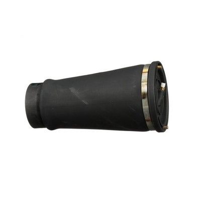 LUFTFEDER FAHRWERK Arnott A2202 17