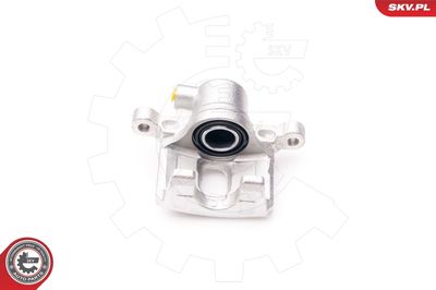 Brake Caliper 34SKV314