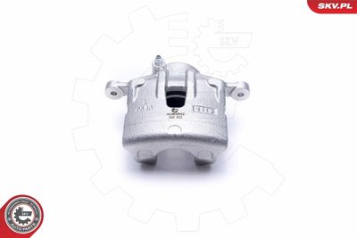 Brake Caliper 46SKV842