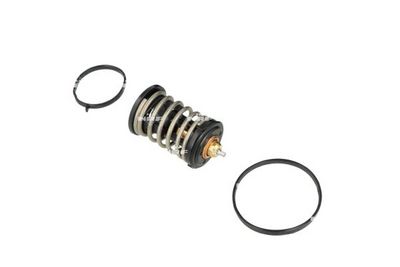 TERMOSTAT LICHID RACIRE NRF 725445 5