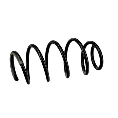 ARC SPIRAL EIBACH R10096 6