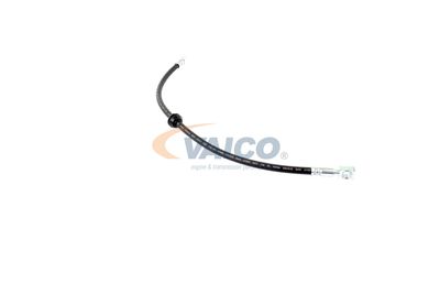 FURTUN FRANA VAICO V201909 43