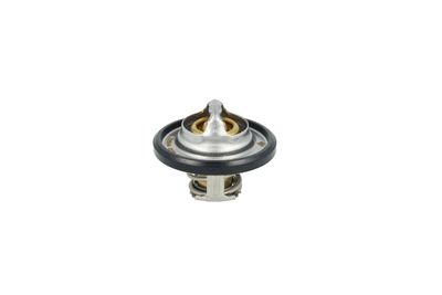 TERMOSTAT LICHID RACIRE NRF 725544 31