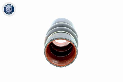 LADELUFTSCHLAUCH VAICO V250949 5