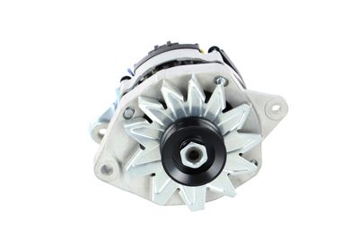 GENERATOR / ALTERNATOR REMANTE 011003000081R 60