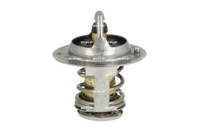 TERMOSTAT LICHID RACIRE NRF 725193 2