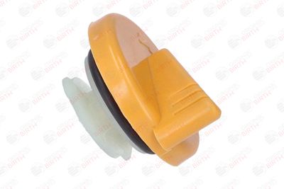 BUSON UMPLERE ULEI BIRTH 8539 10