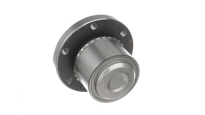 RADLAGERSATZ SKF VKBA6699 0