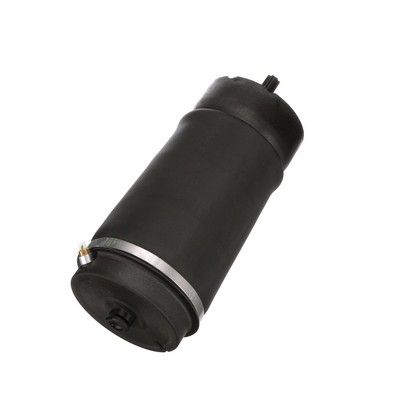 LUFTFEDER FAHRWERK Arnott A2831 60