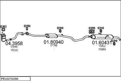 SISTEM DE ESAPAMENT MTS PEUG75529A003743