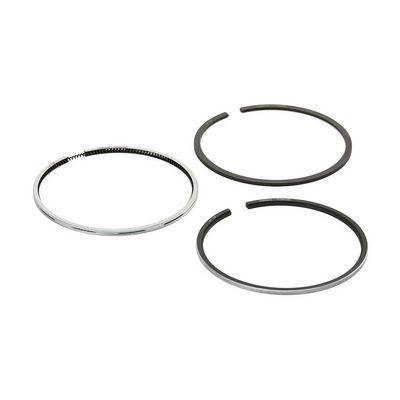 комплект сегменти RIDEX 444P0019