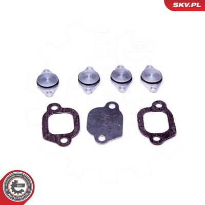 Remonto komplektas, įsiurbimo kolektoriaus modulis