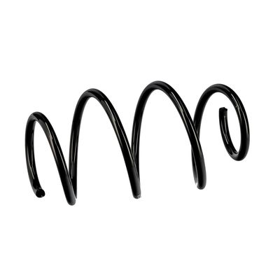 ARC SPIRAL EIBACH R10248 6