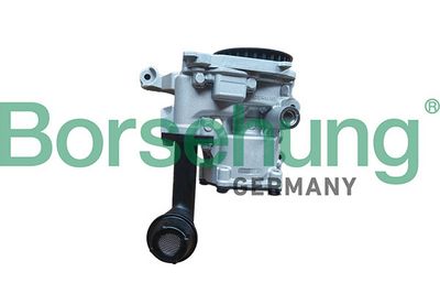 Borsehung Alyvos siurblio rinkinys