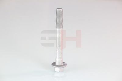 SURUB CAPAT DE AX GH GH391580 53
