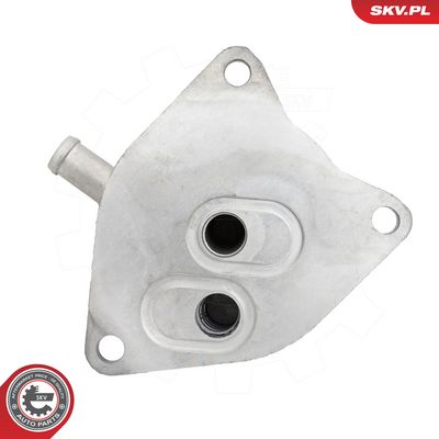 Oleja chladič, motorový olej SKV 31SKV479