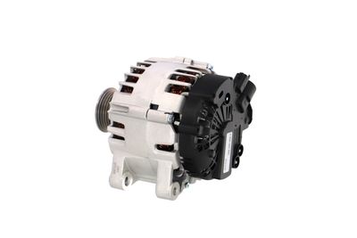GENERATOR / ALTERNATOR REMANTE 011003000825R 21
