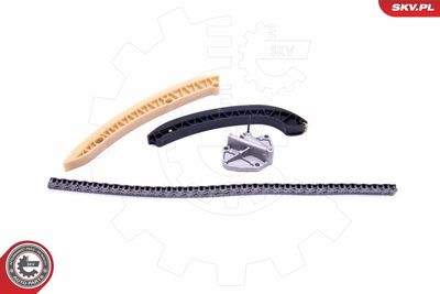 Timing Chain Kit 21SKV180